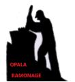 My Website